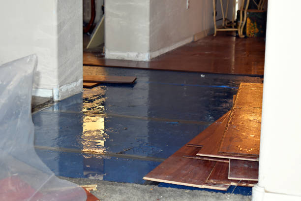 Professional Flood Damage Restoration technician working in Poteet, TX